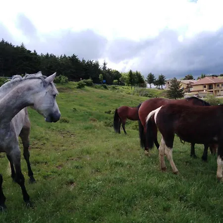 La Vecchia Fattoria Bed and Breakfast